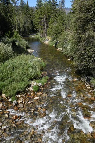 DSC_4287 (Large).JPG